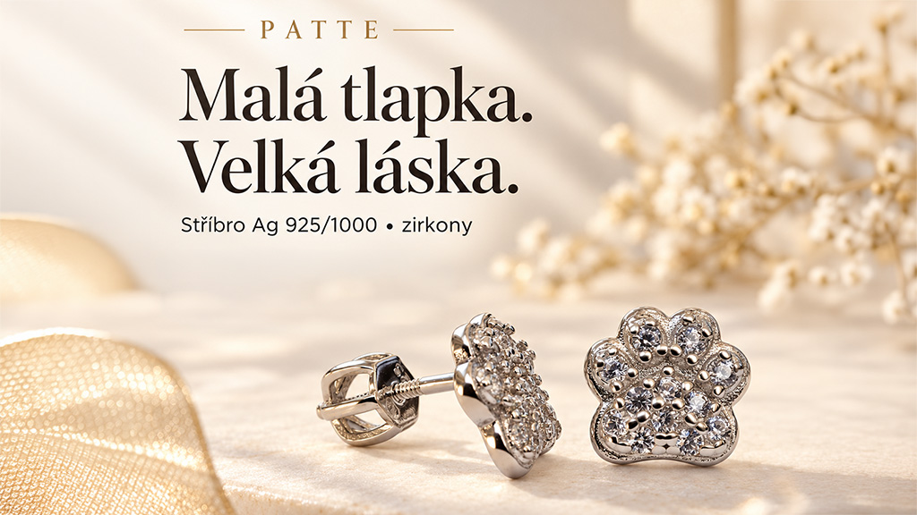 Stříbrné náušnice Patte (7)
